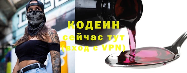 таблы Бикин