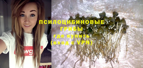 дживик Билибино