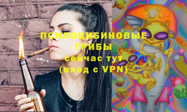 таблы Бикин